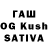Псилоцибиновые грибы Magic Shrooms Davish Sunassee