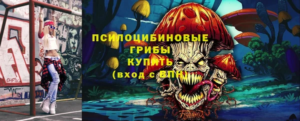 мет Алексин