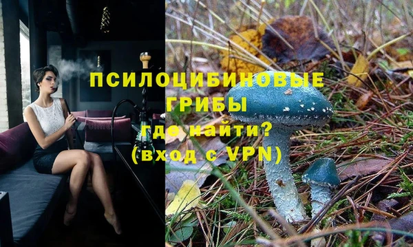 мет Алексин